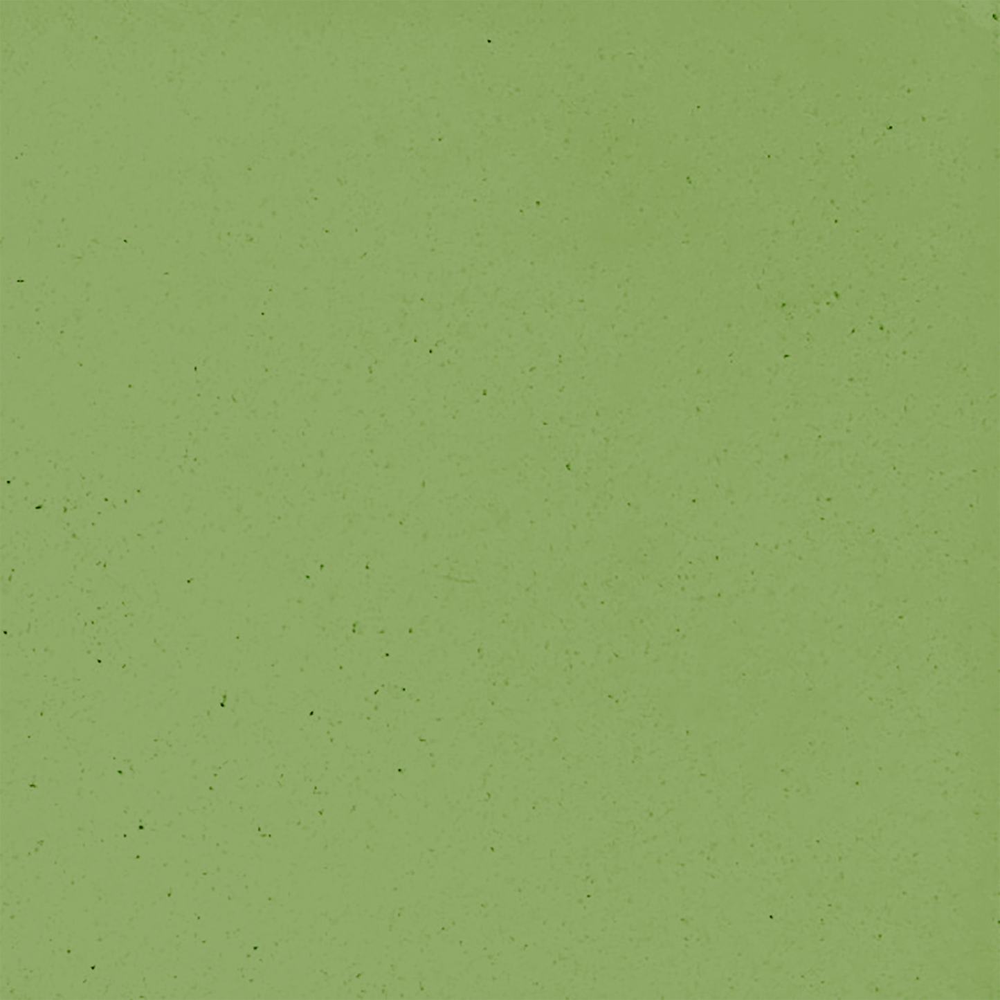 Encaustic Cement Tile, Concrete Tile, Field Tile, Solid Colours