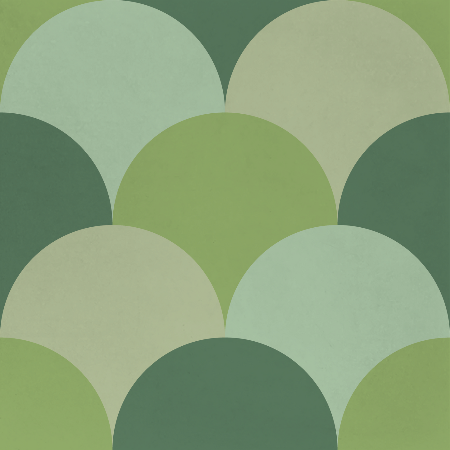 Ecailles de Poisson 06